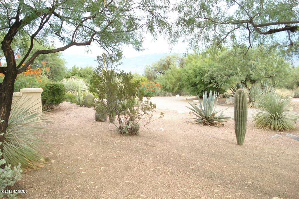 5030 N Avenida De La Colina