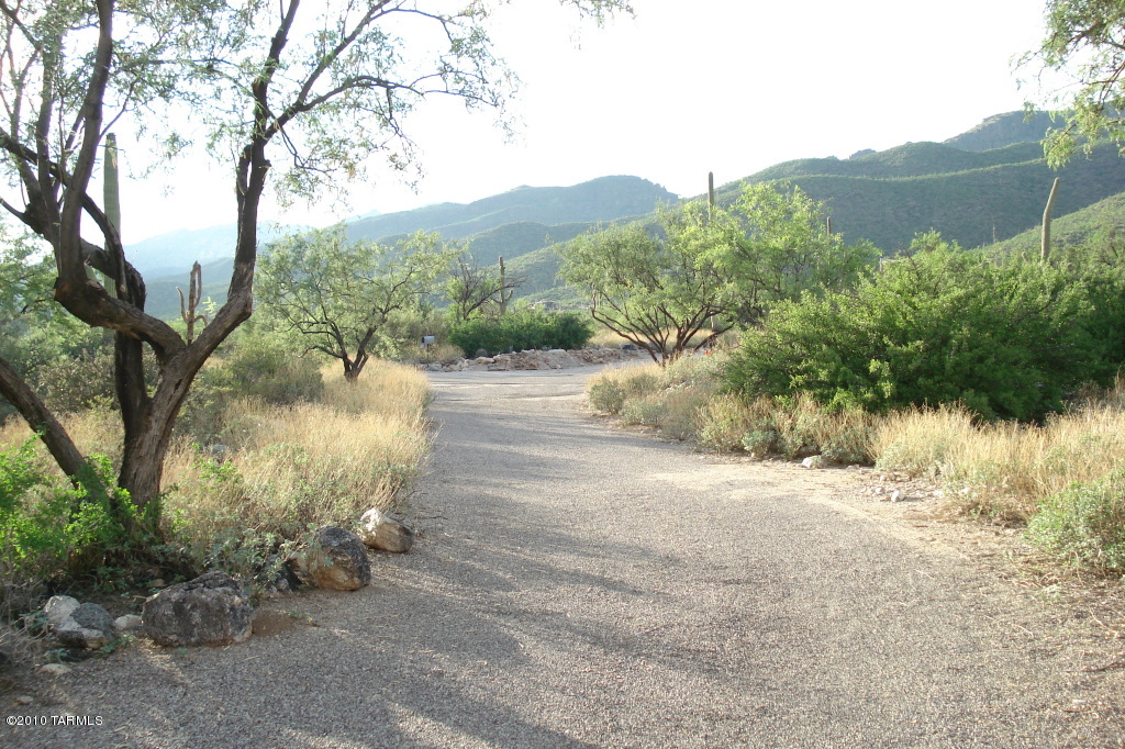 5030 N Avenida De La Colina