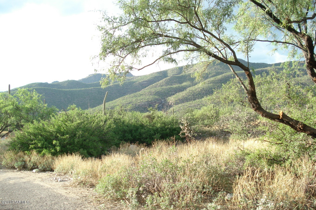 5030 N Avenida De La Colina