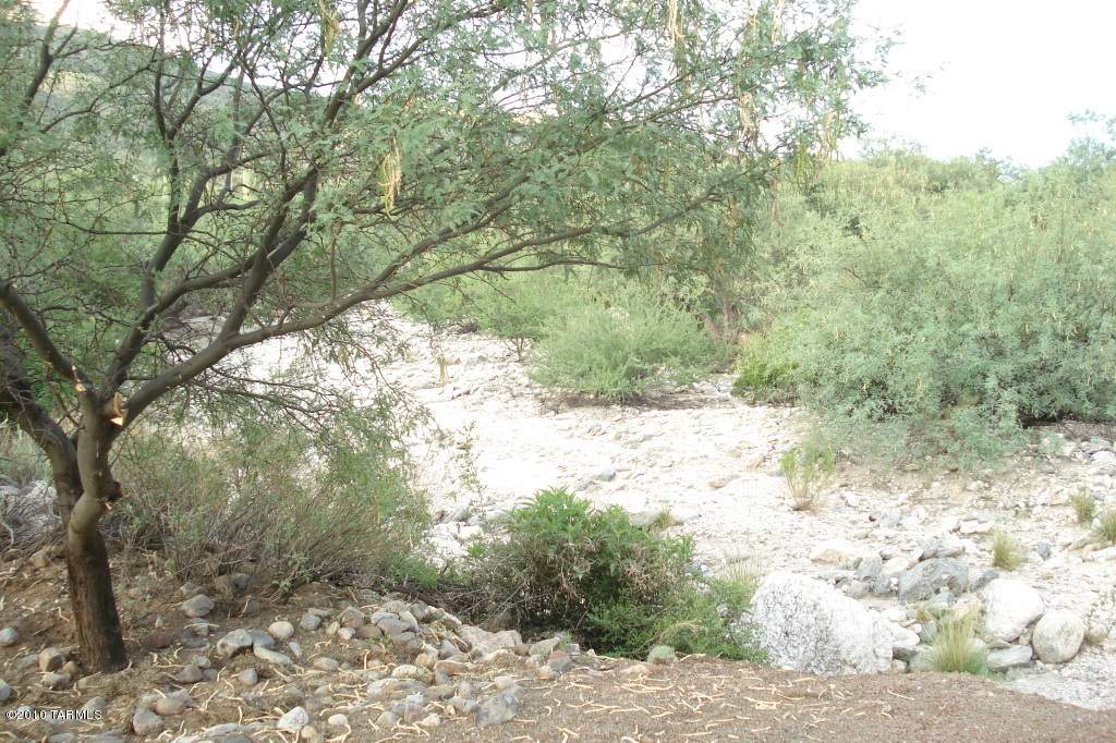 5030 N Avenida De La Colina