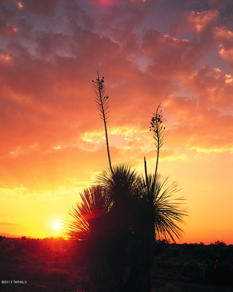 13436 S Sundown Ranch Road Unit: 347