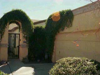 Private Address