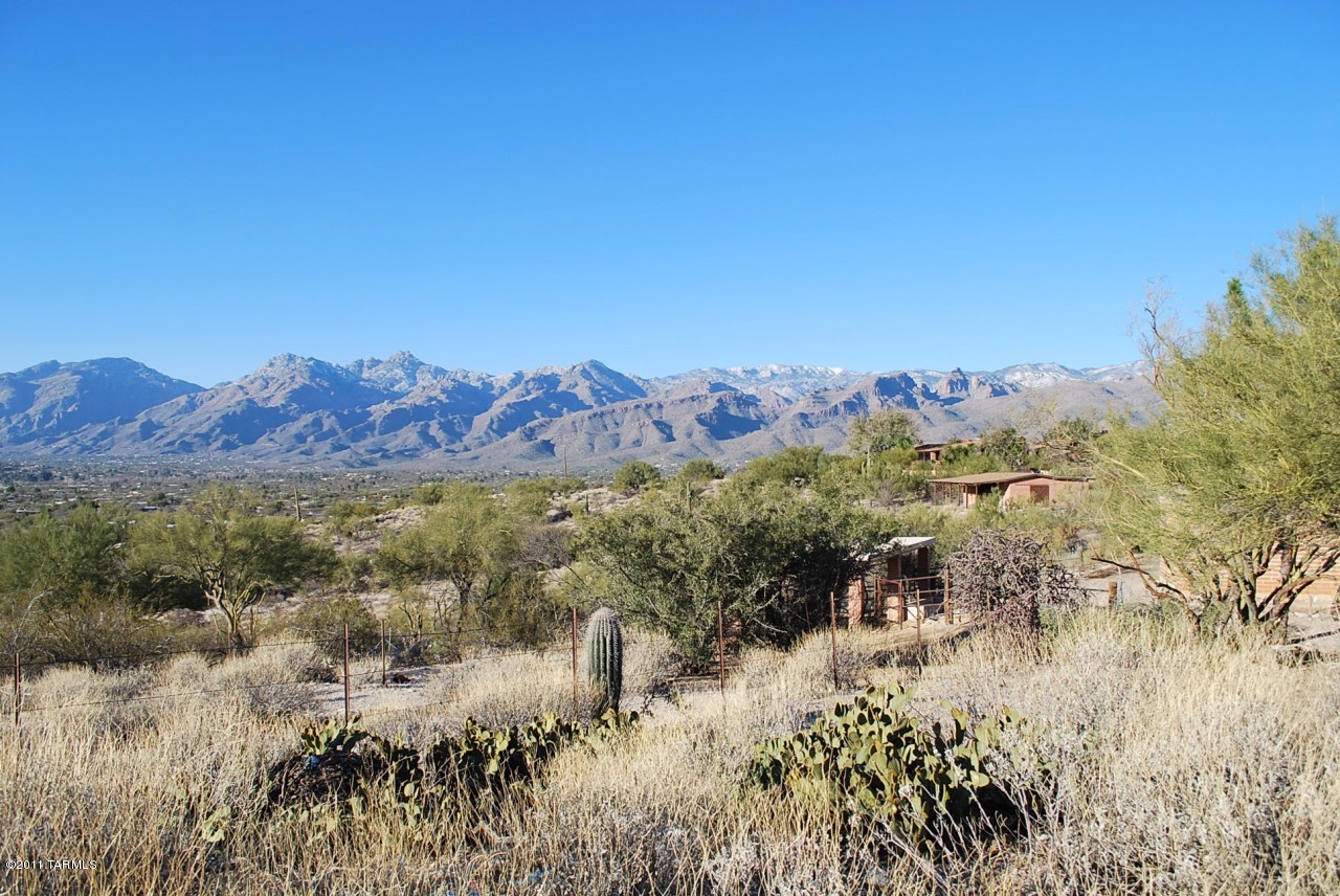 3035 N Deer Track