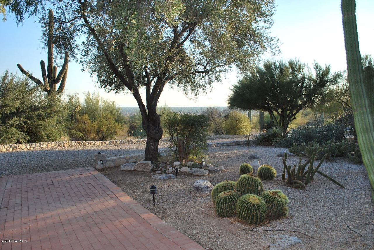 3035 N Deer Track