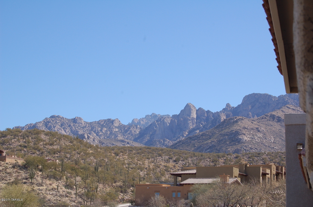 1500 E Pusch Wilderness Drive Unit: 11201