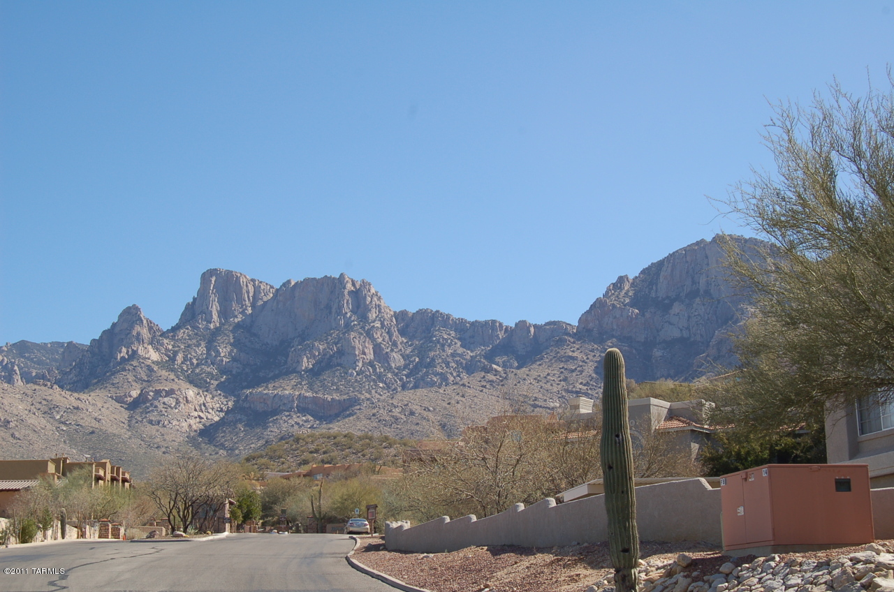 1500 E Pusch Wilderness Drive Unit: 11201