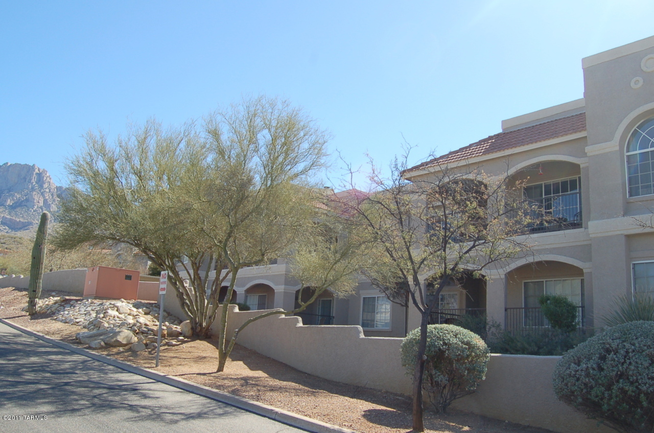 1500 E Pusch Wilderness Drive Unit: 11201