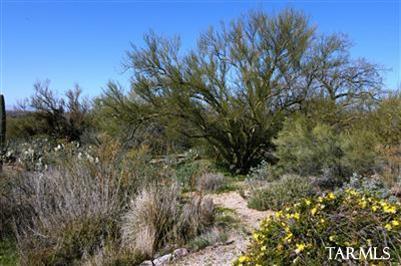 2975 N El Camino Rinconado