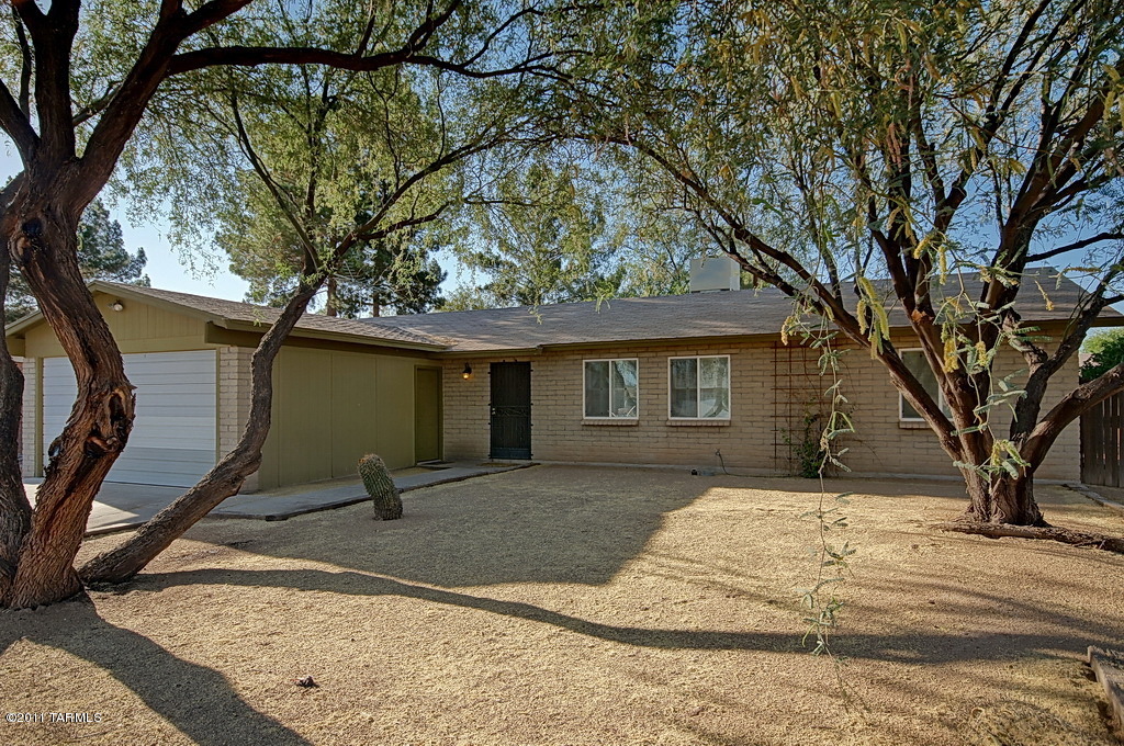 2956 W Nutmeg Drive