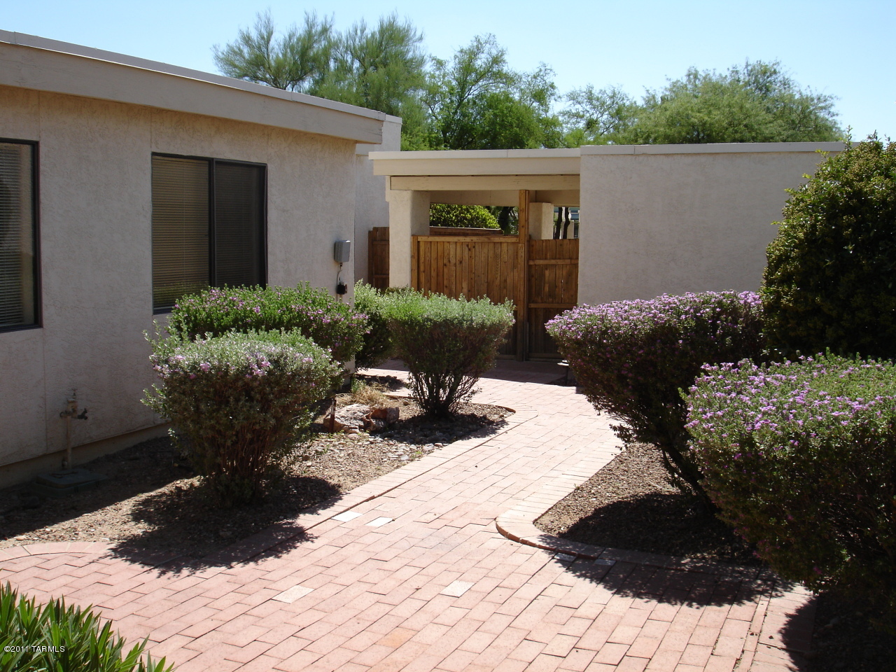 3232 N Little Horse Drive