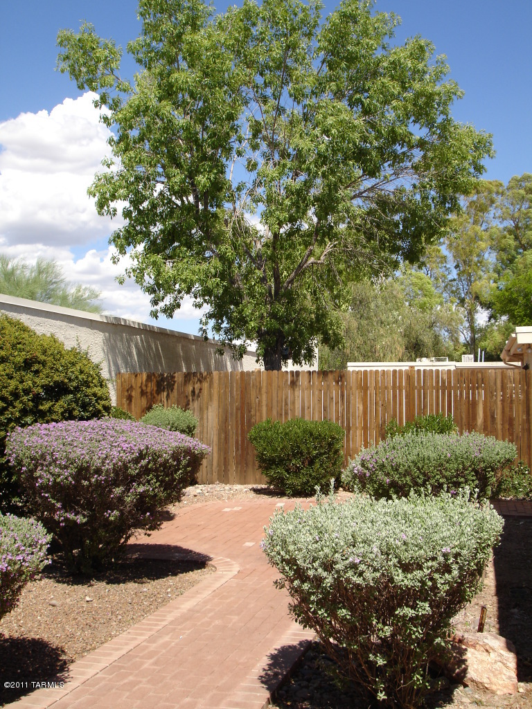3232 N Little Horse Drive