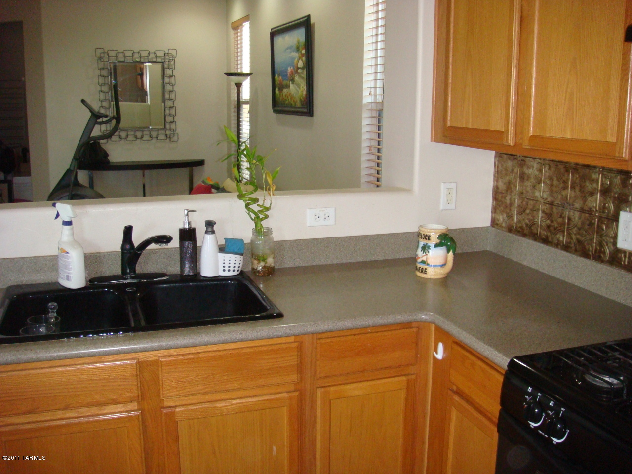 1113 S Pantano Overlook Drive