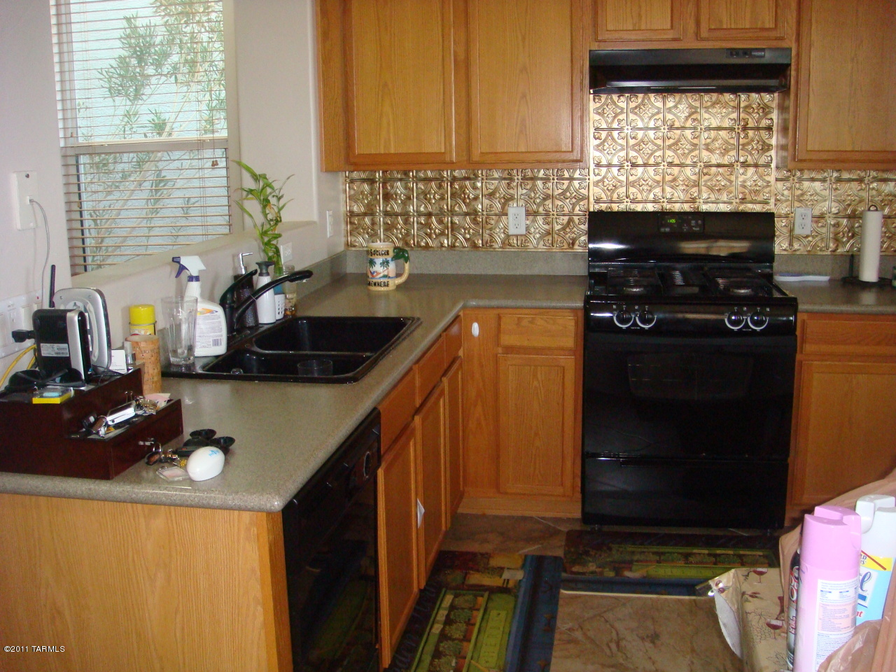1113 S Pantano Overlook Drive