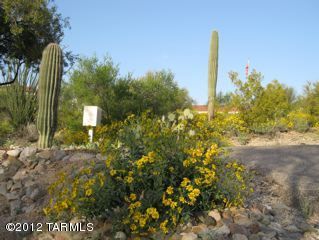 5114 N Placita Barra