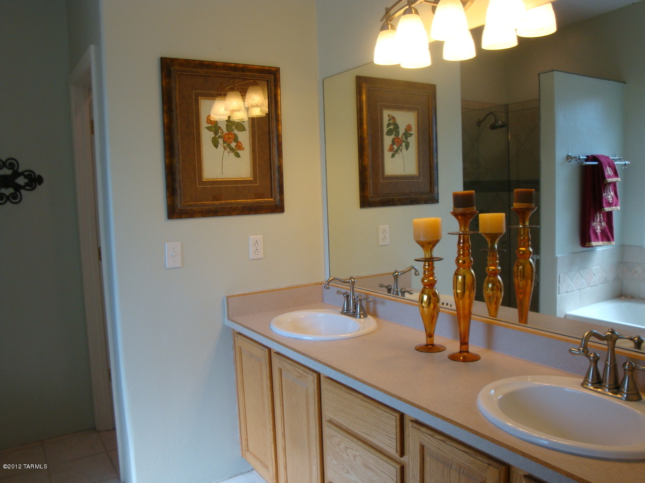 4801 N Ventana Ridge Place