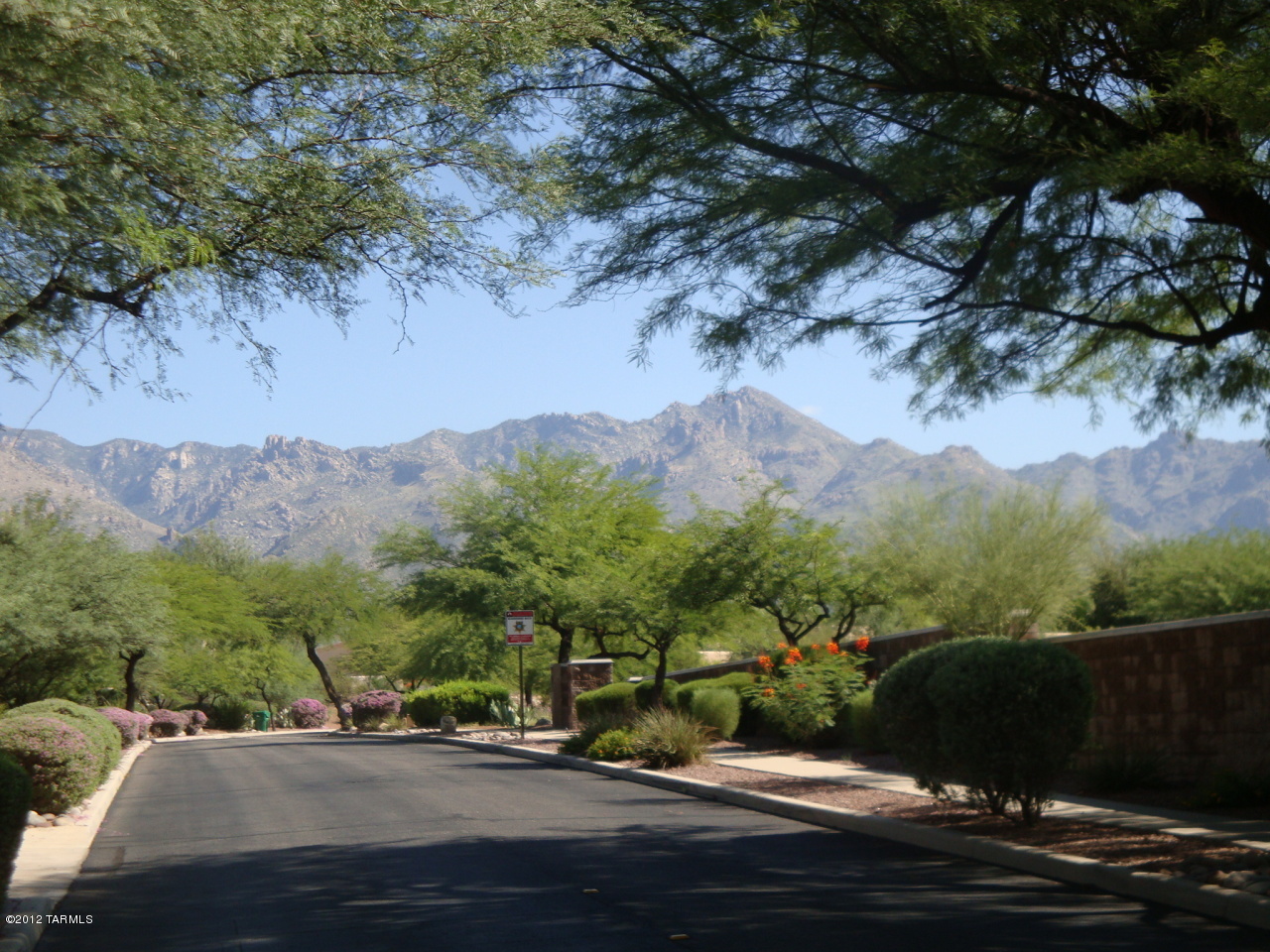 4801 N Ventana Ridge Place