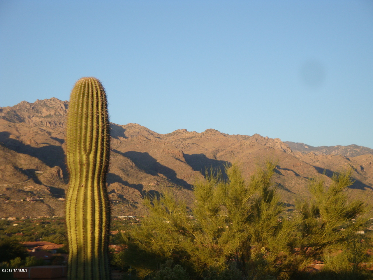 5482 N Via Sempreverde