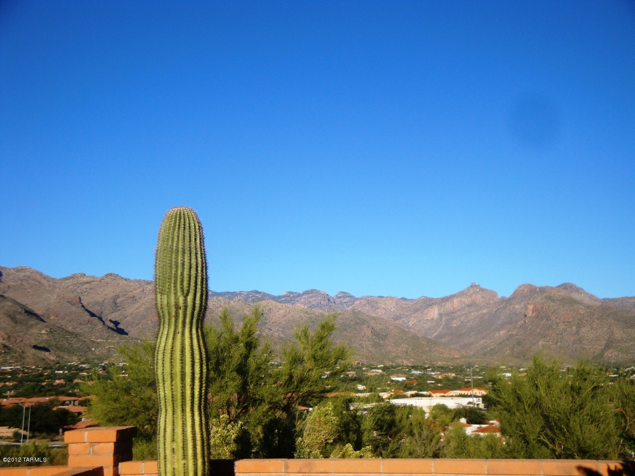 5482 N Via Sempreverde