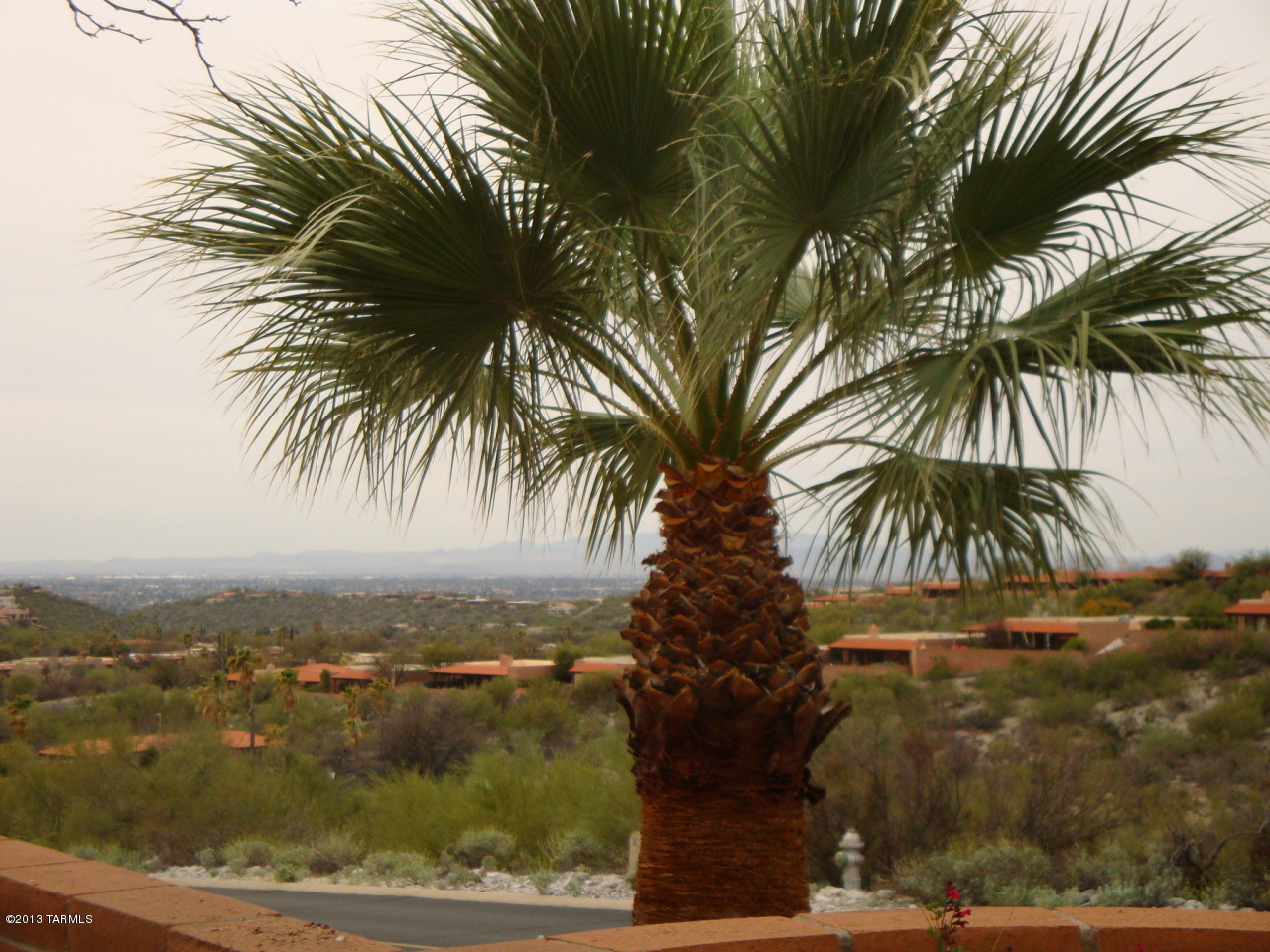 5156 N Via Sempreverde