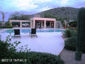 5541 N Mica Mountain Drive