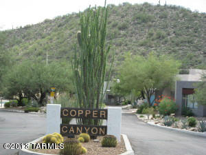 5541 N Mica Mountain Drive