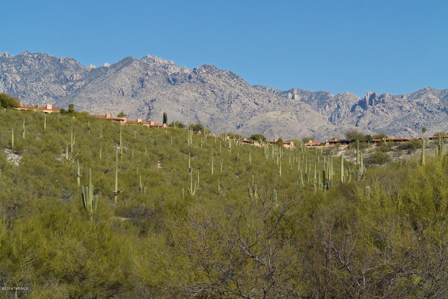 3970 N River Bluff Place