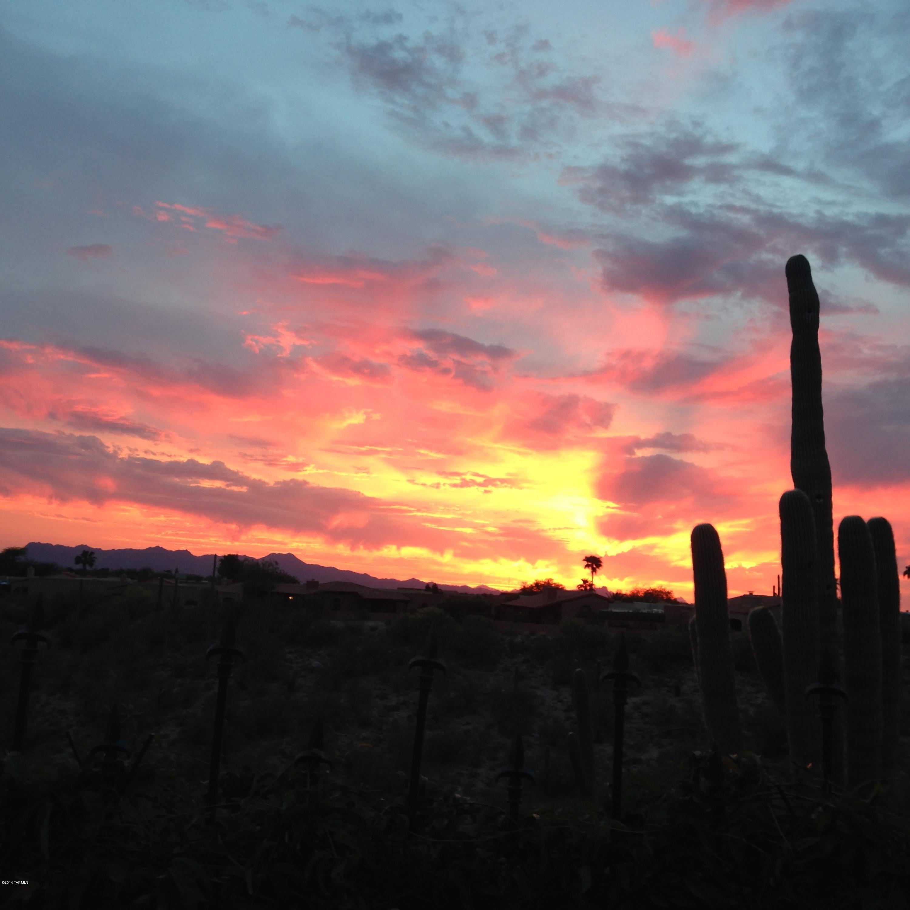 4361 N Vereda Rosada