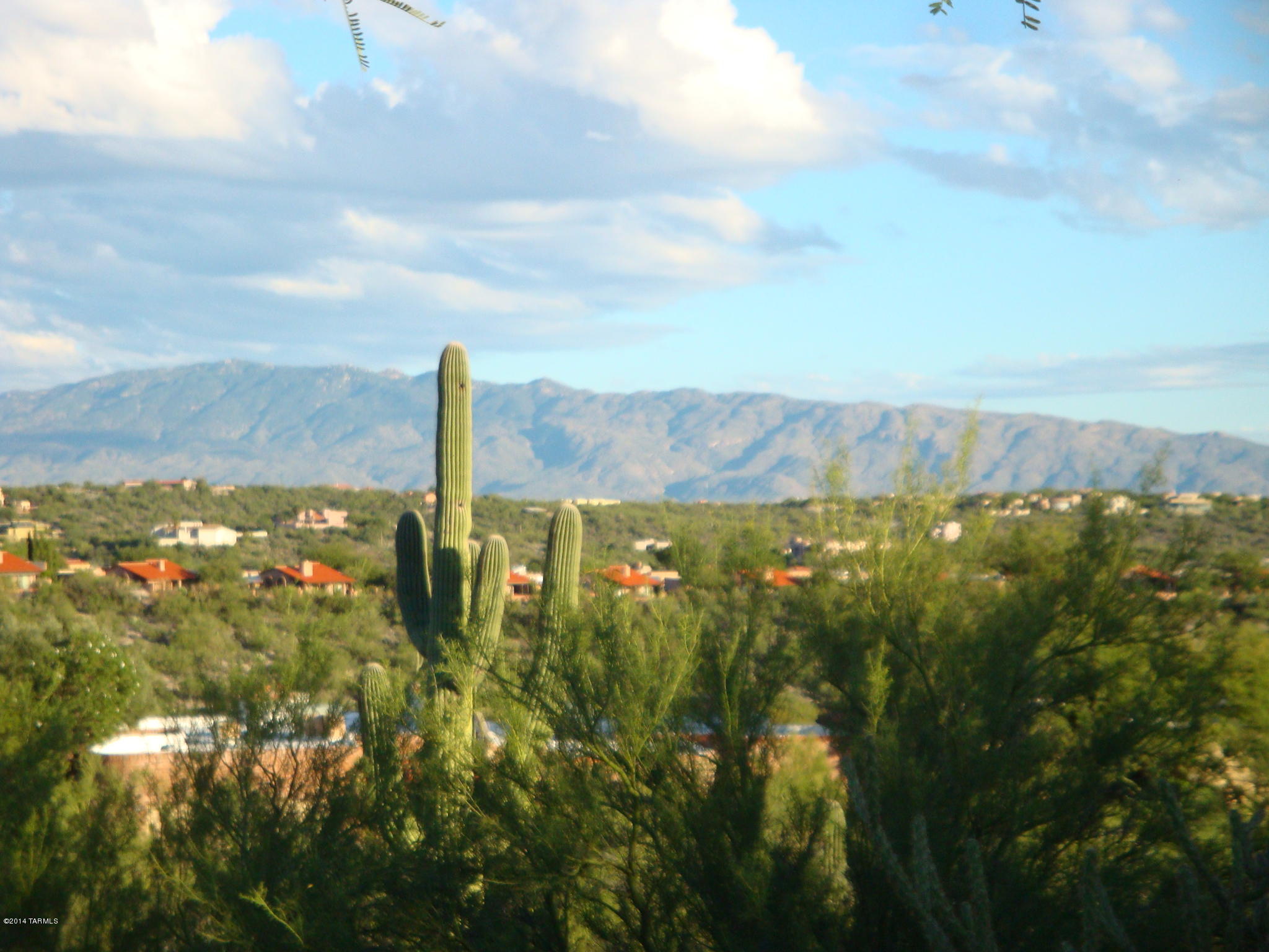 5364 N Fort Yuma Trail