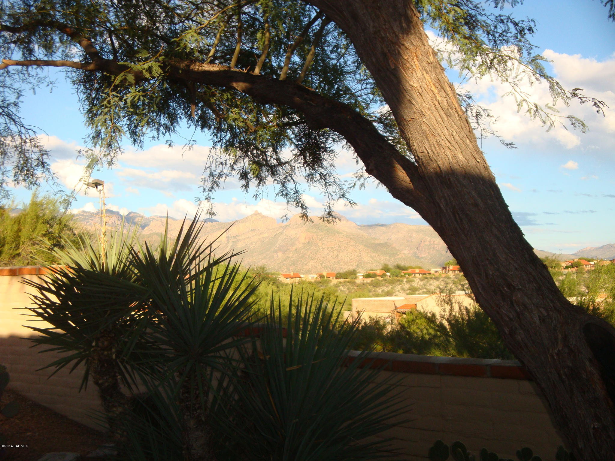 5364 N Fort Yuma Trail