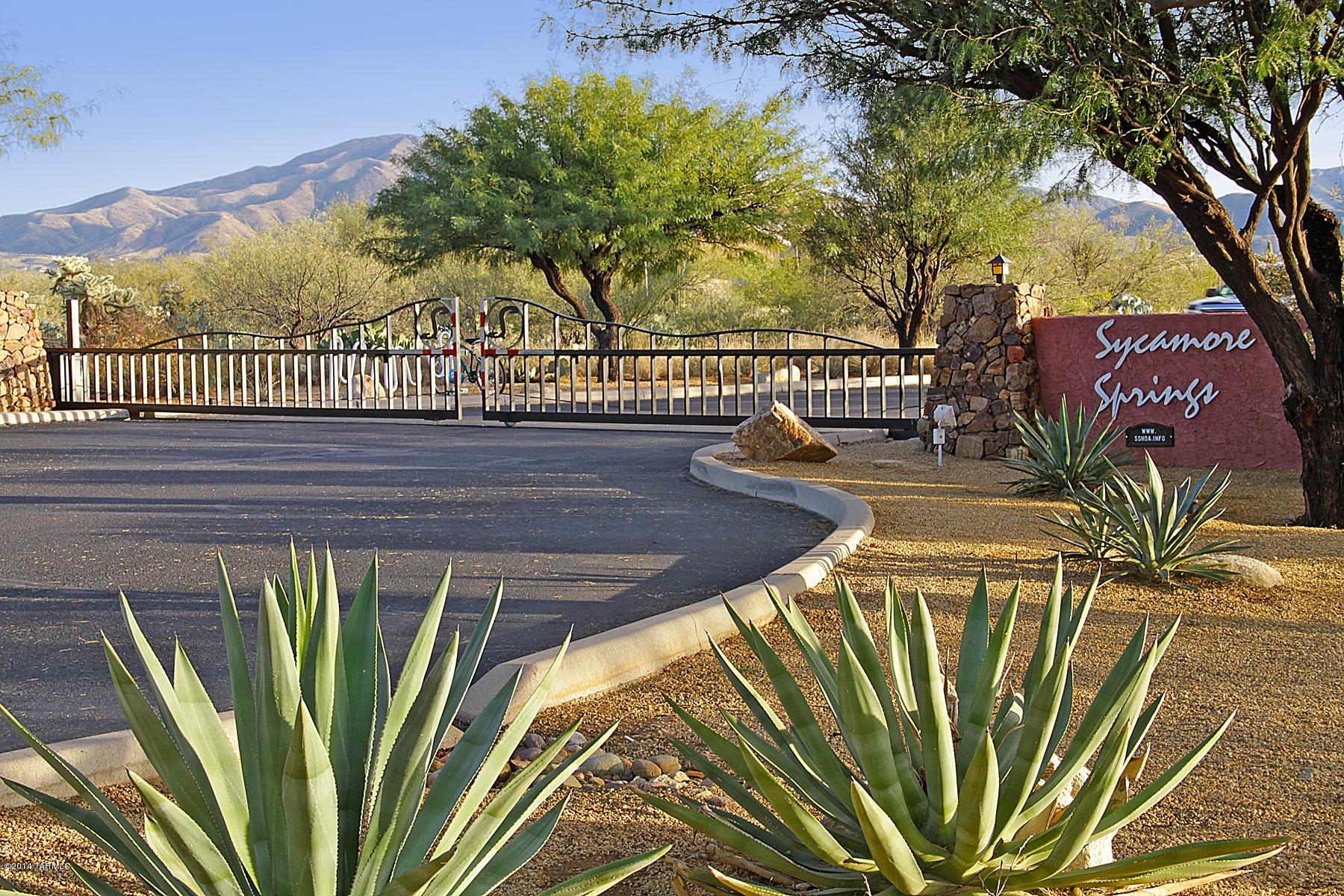 16230 S Sycamore Ridge Trail