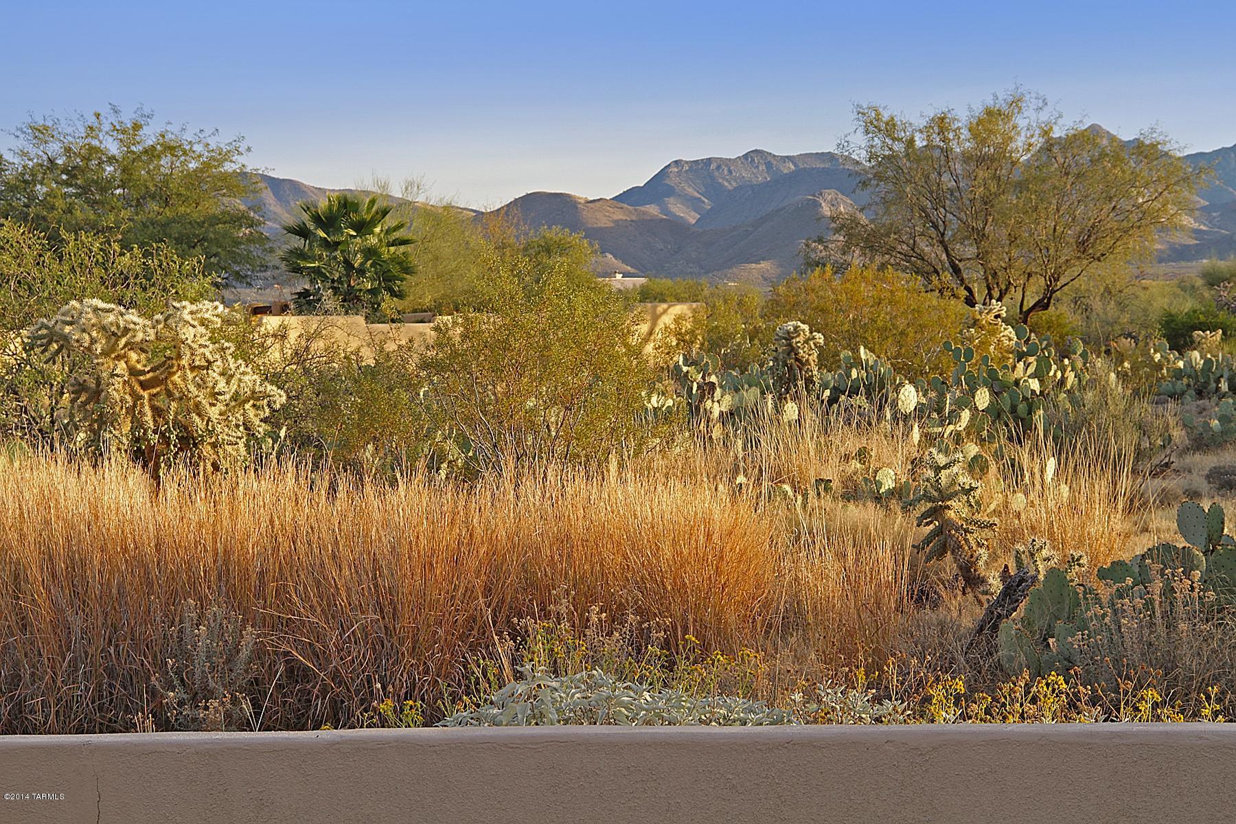 16230 S Sycamore Ridge Trail
