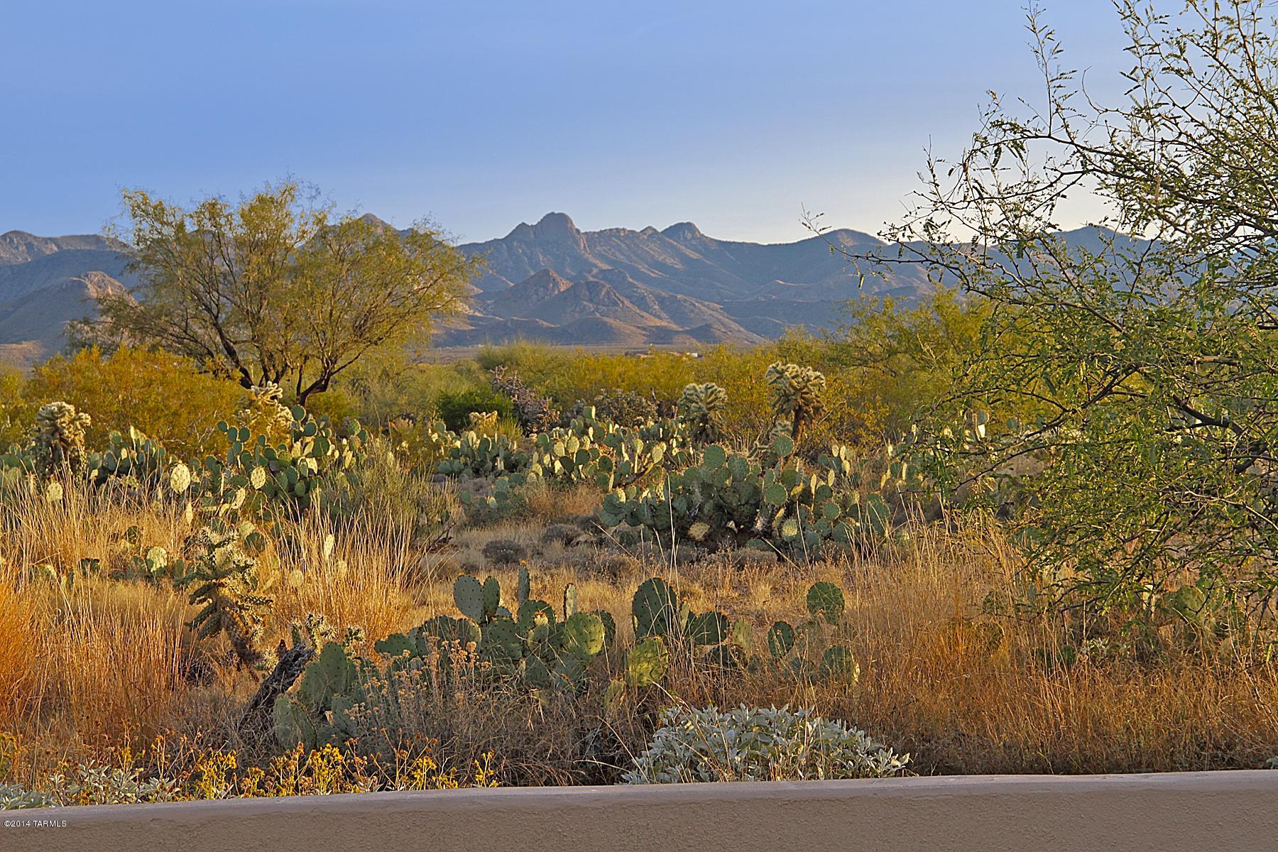 16230 S Sycamore Ridge Trail