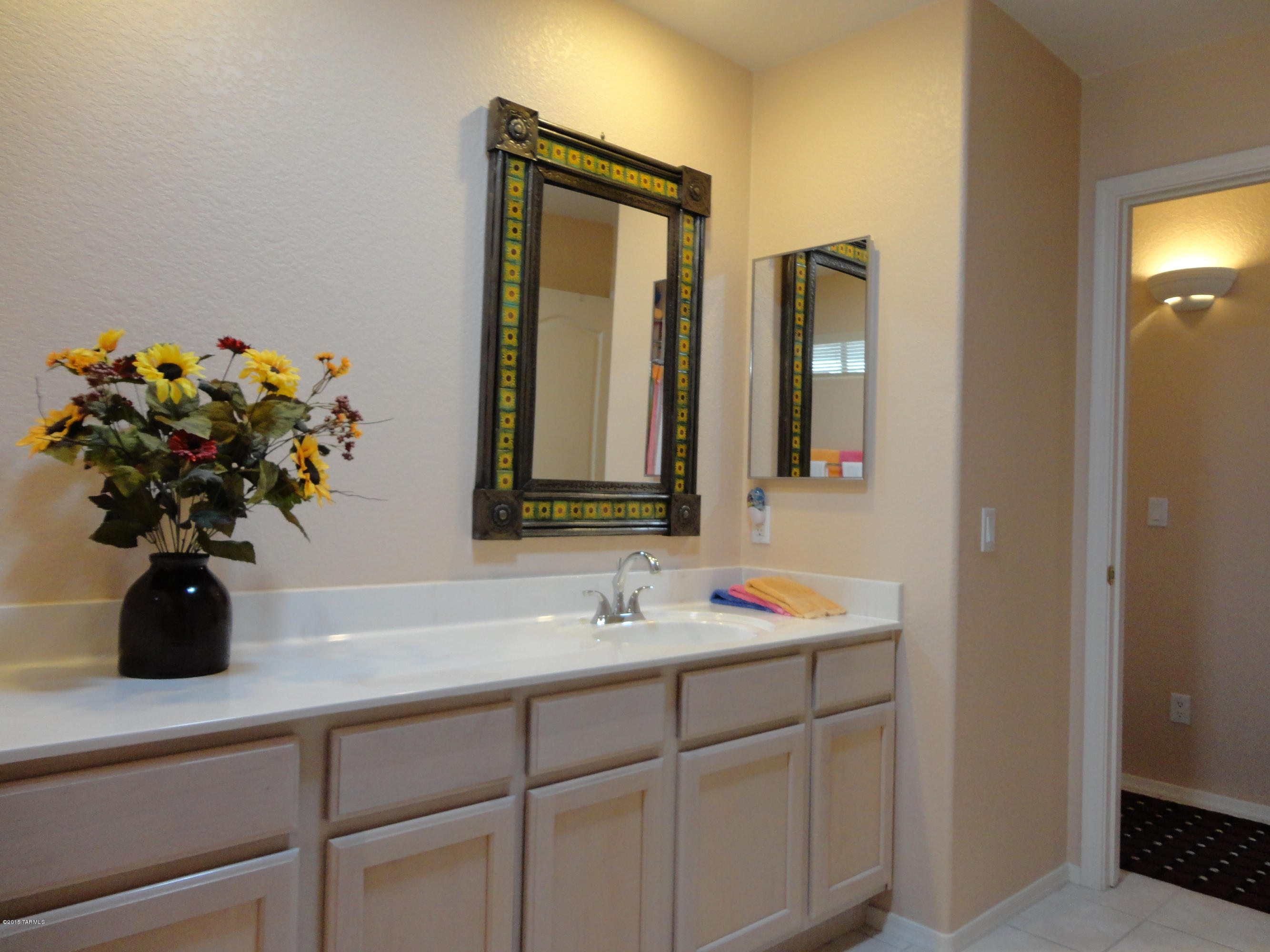10241 E Lucille Drive