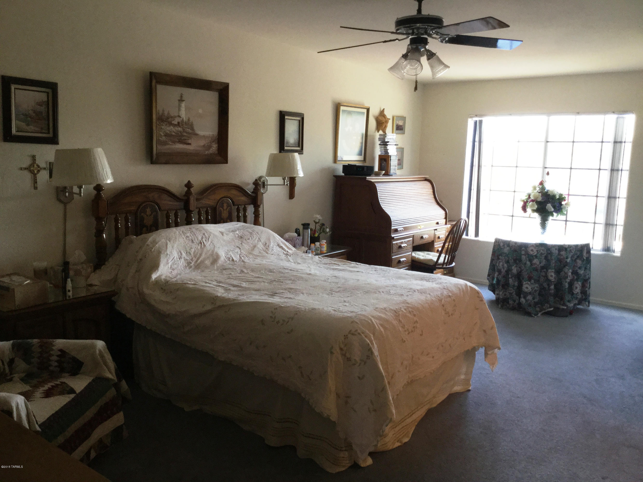 3385 N Apache Plume Court