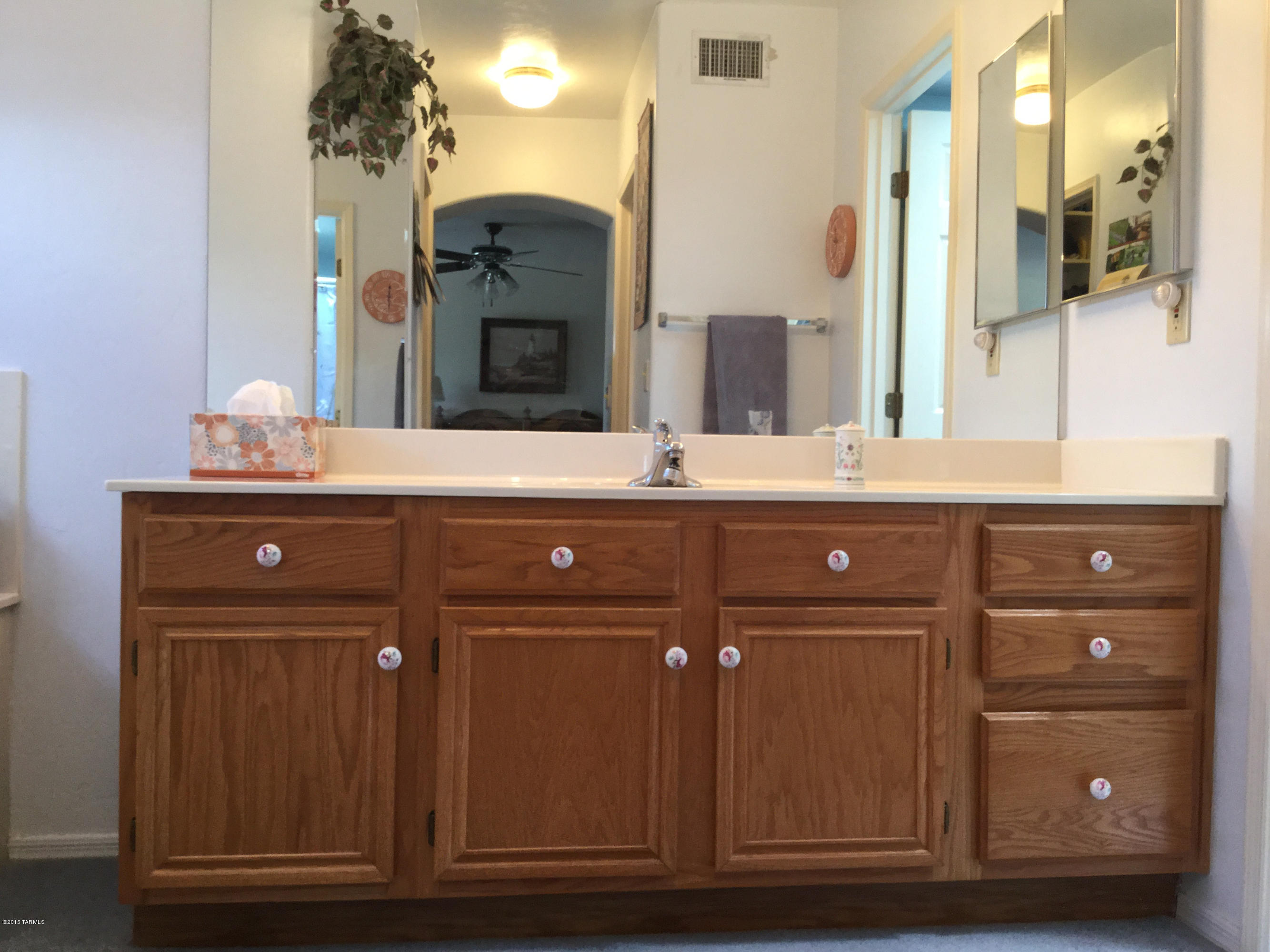 3385 N Apache Plume Court