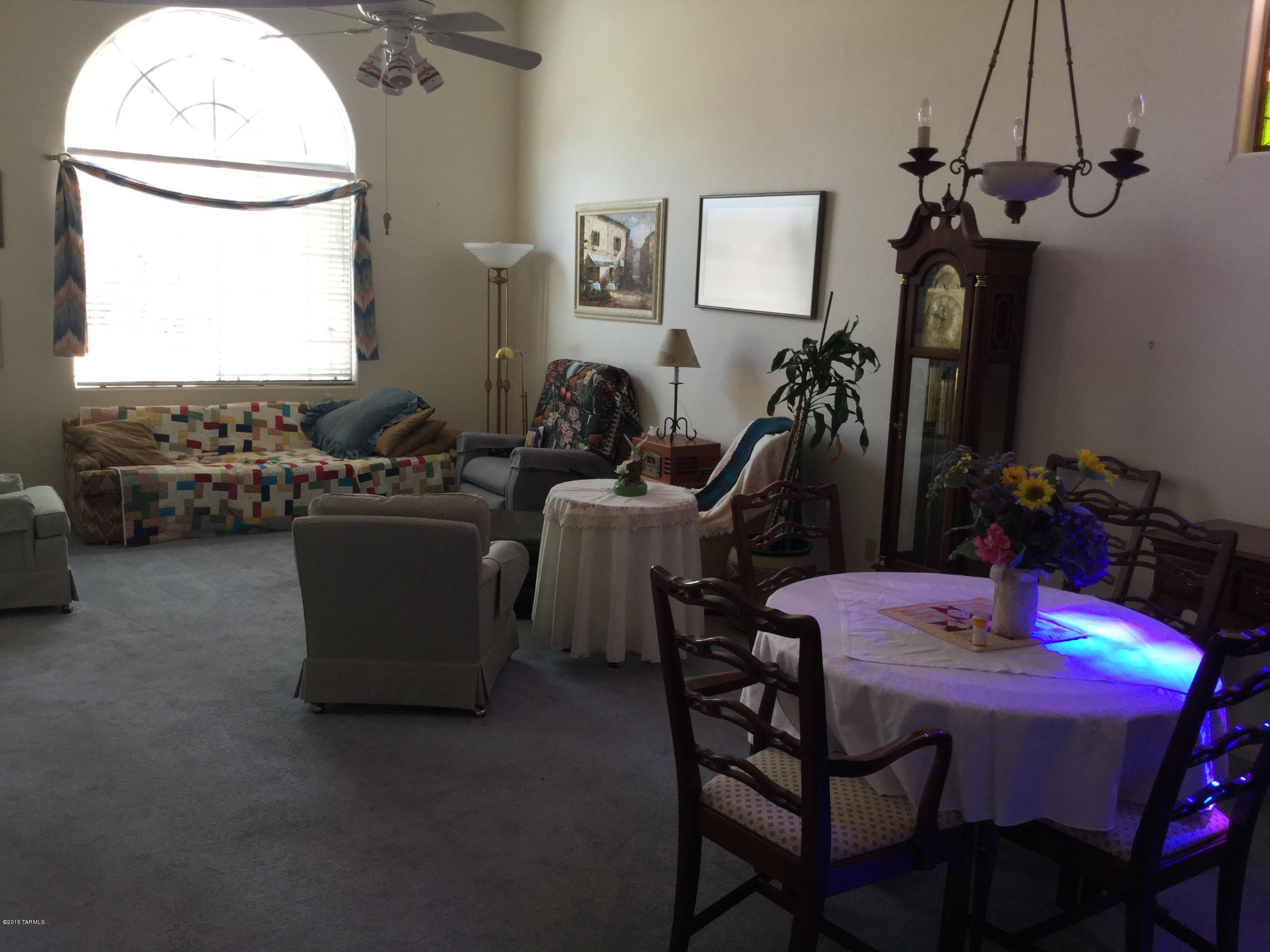 3385 N Apache Plume Court