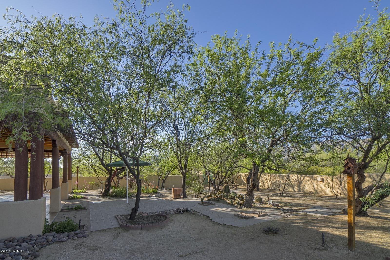 11621 E Calle Del Rincon