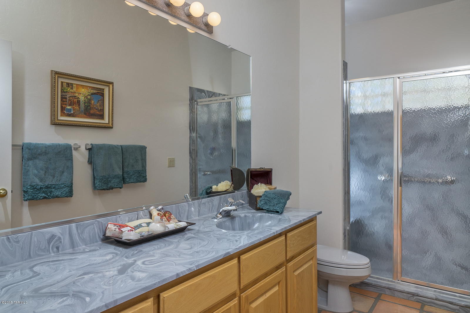 11621 E Calle Del Rincon