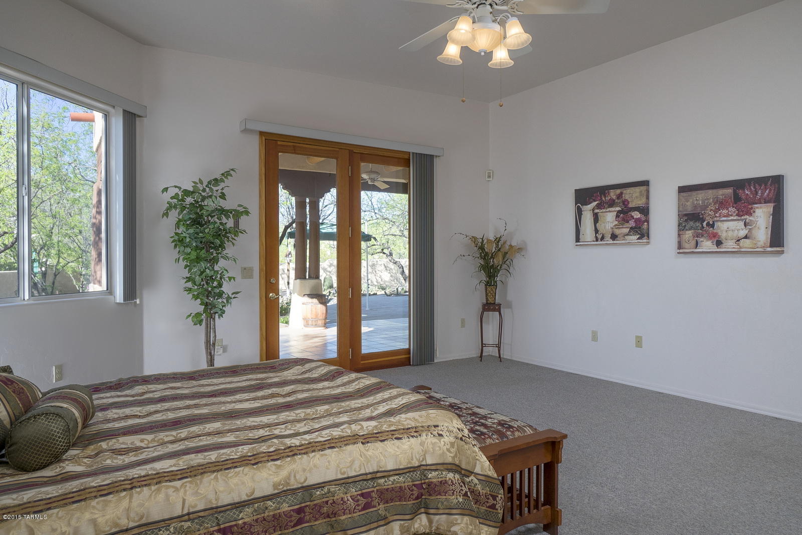 11621 E Calle Del Rincon