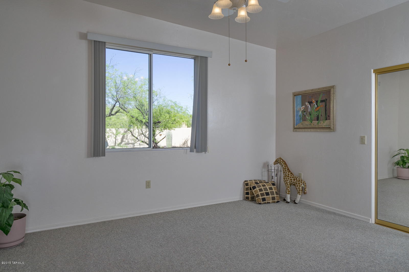 11621 E Calle Del Rincon