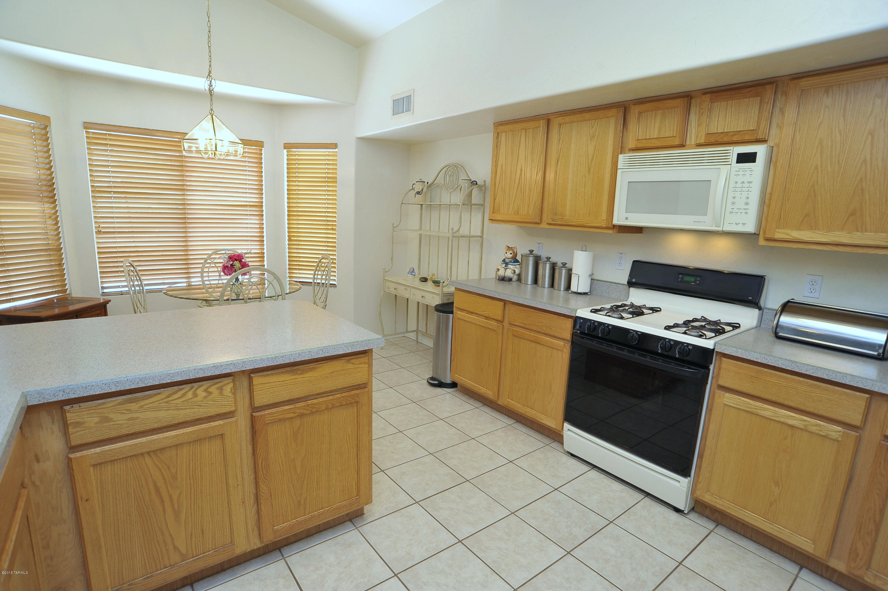 10236 E Buffaloberry Loop