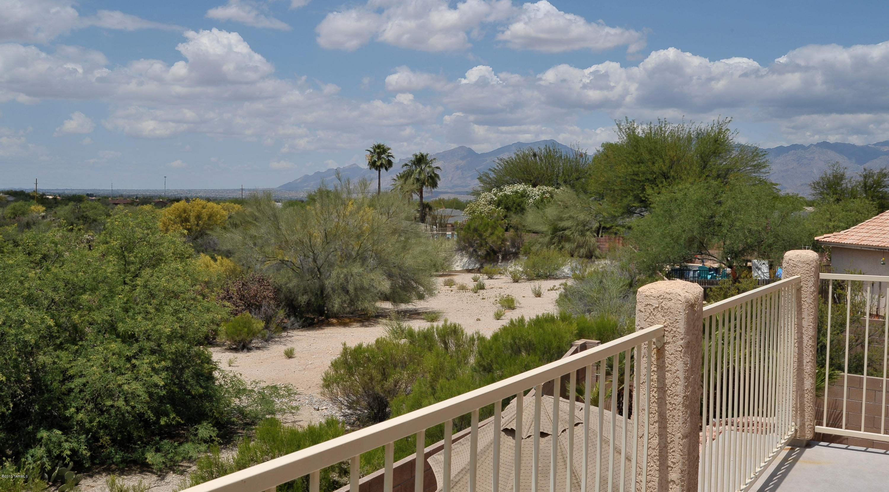 10236 E Buffaloberry Loop
