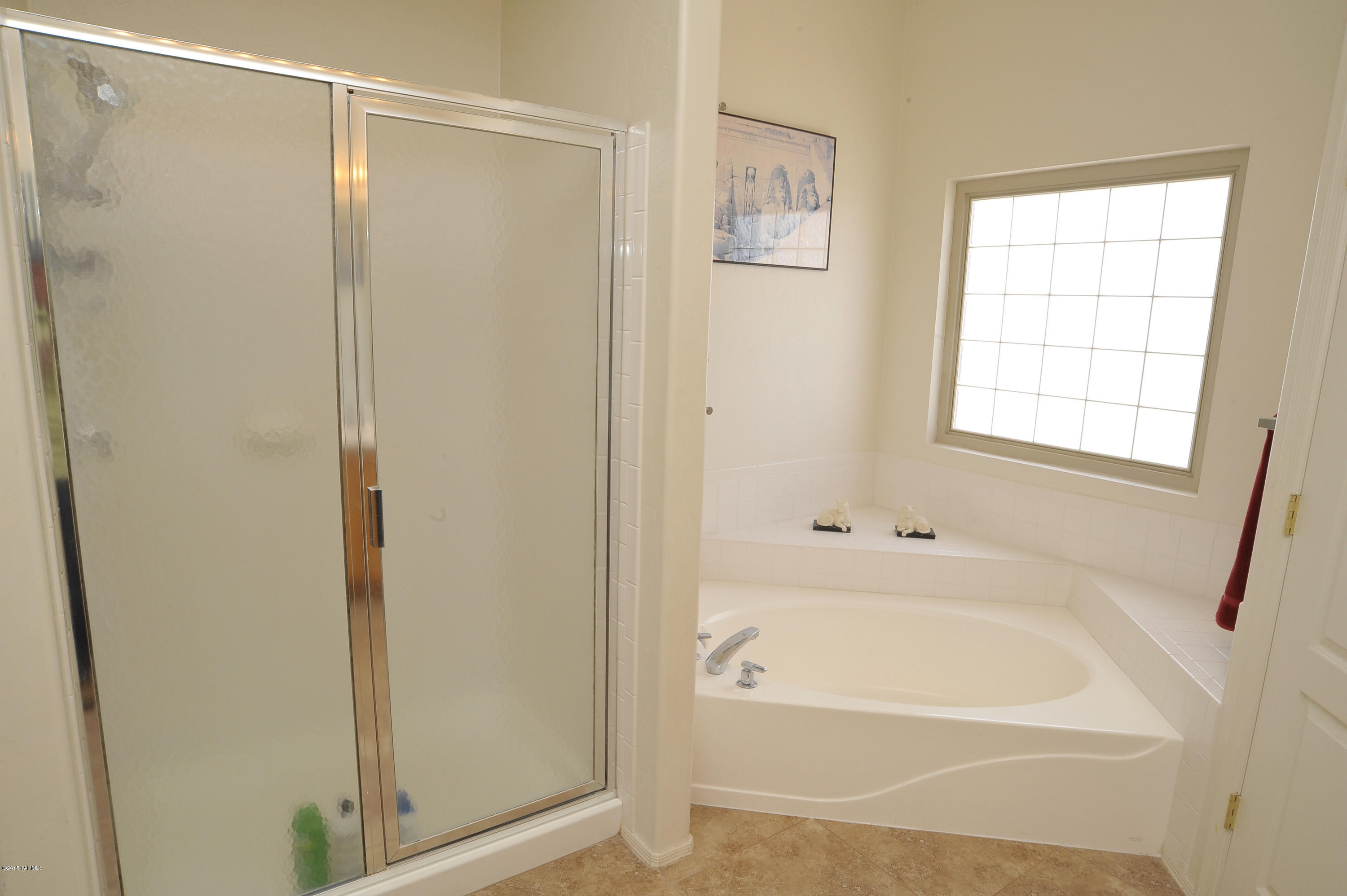 10236 E Buffaloberry Loop