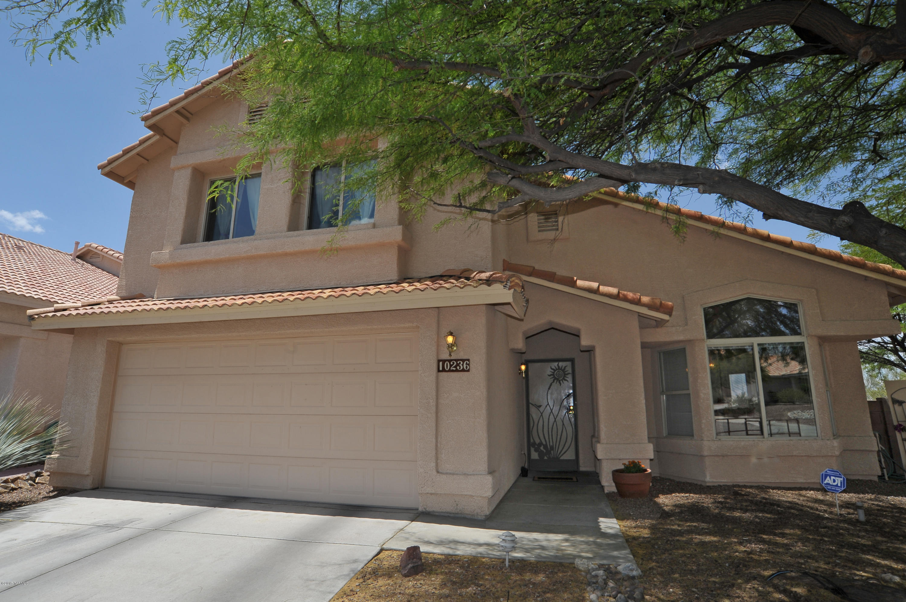 10236 E Buffaloberry Loop