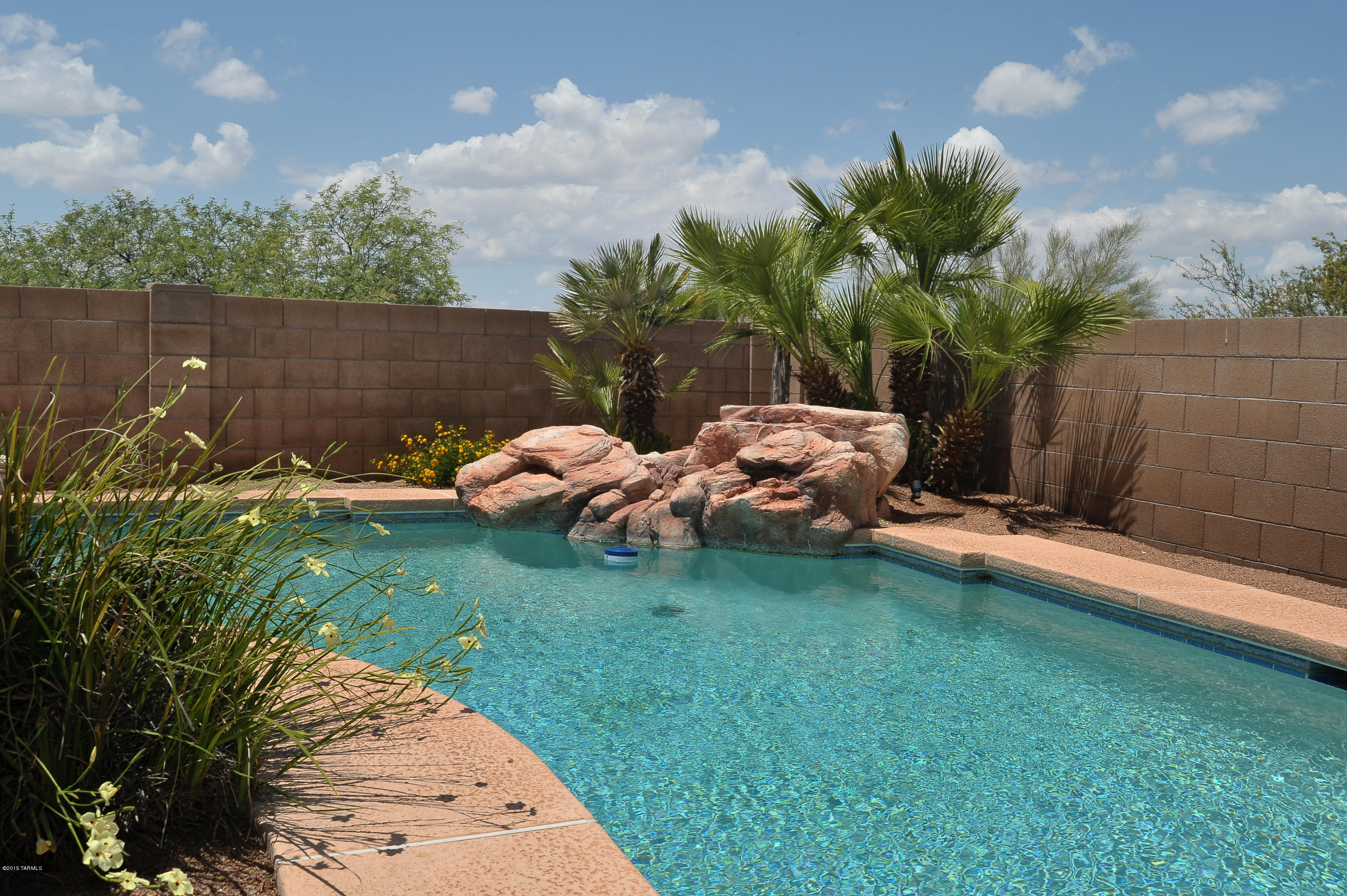 10236 E Buffaloberry Loop