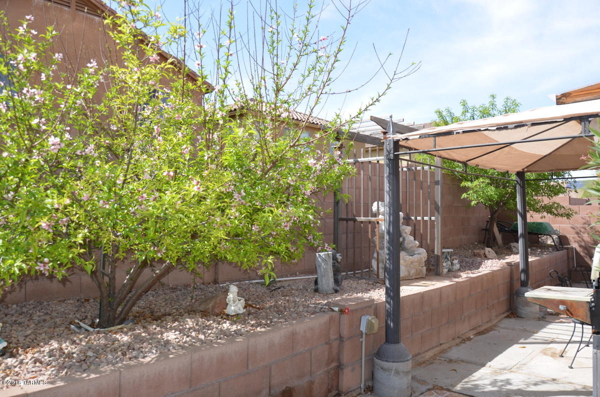 5214 N Canyon Rise Place