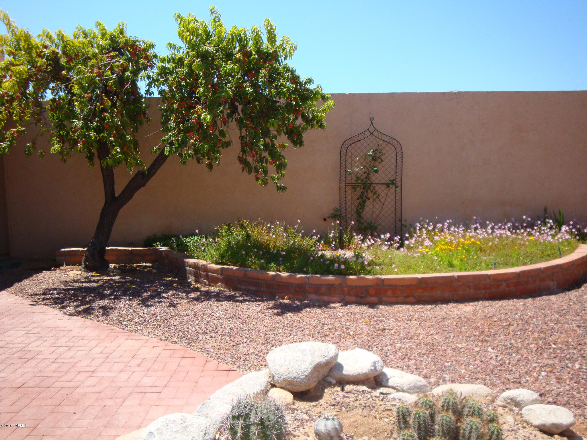 4441 N Camino Ferreo