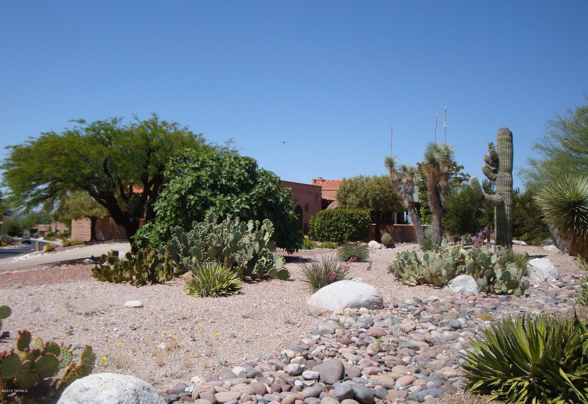 4441 N Camino Ferreo