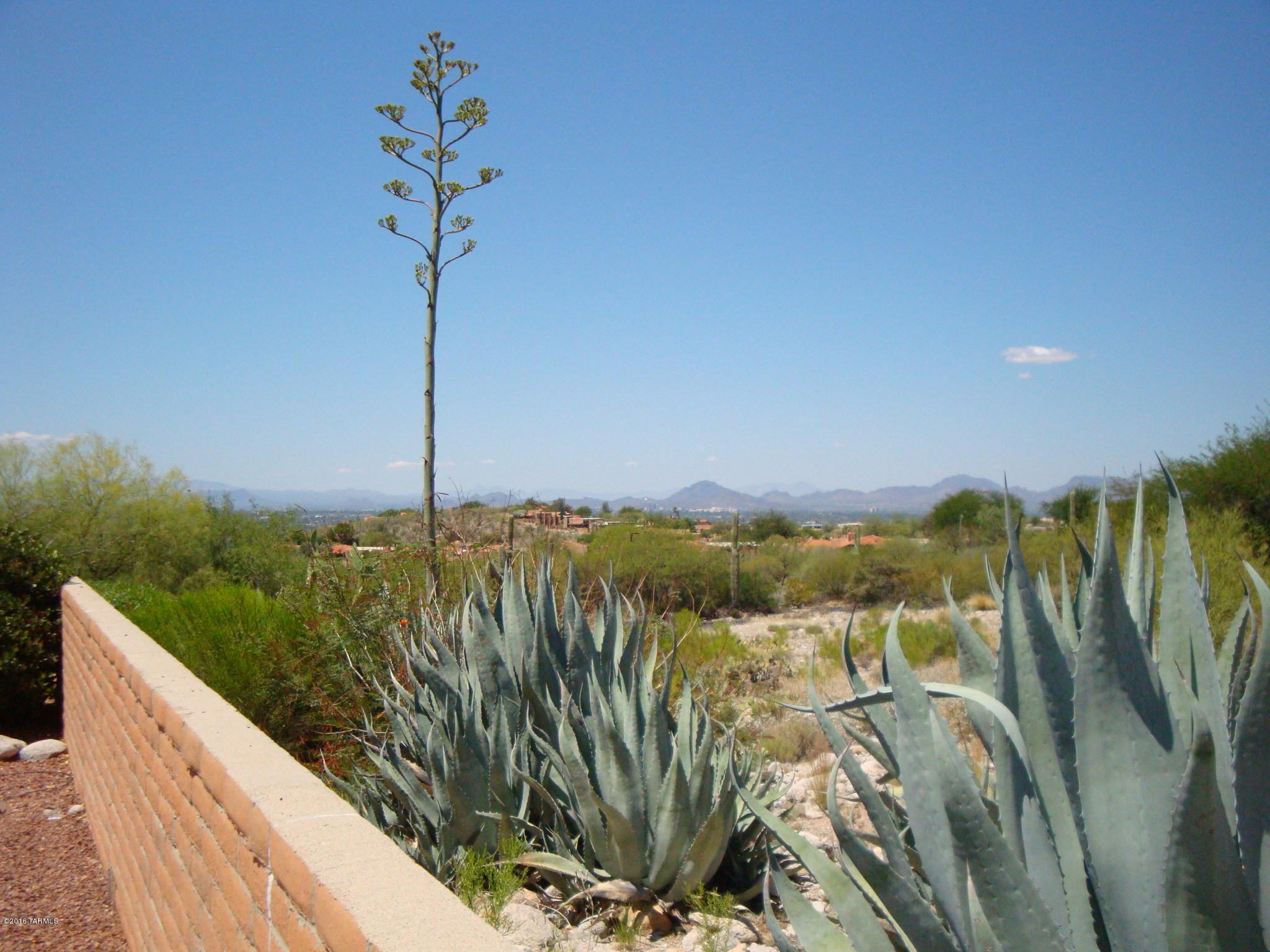 4441 N Camino Ferreo