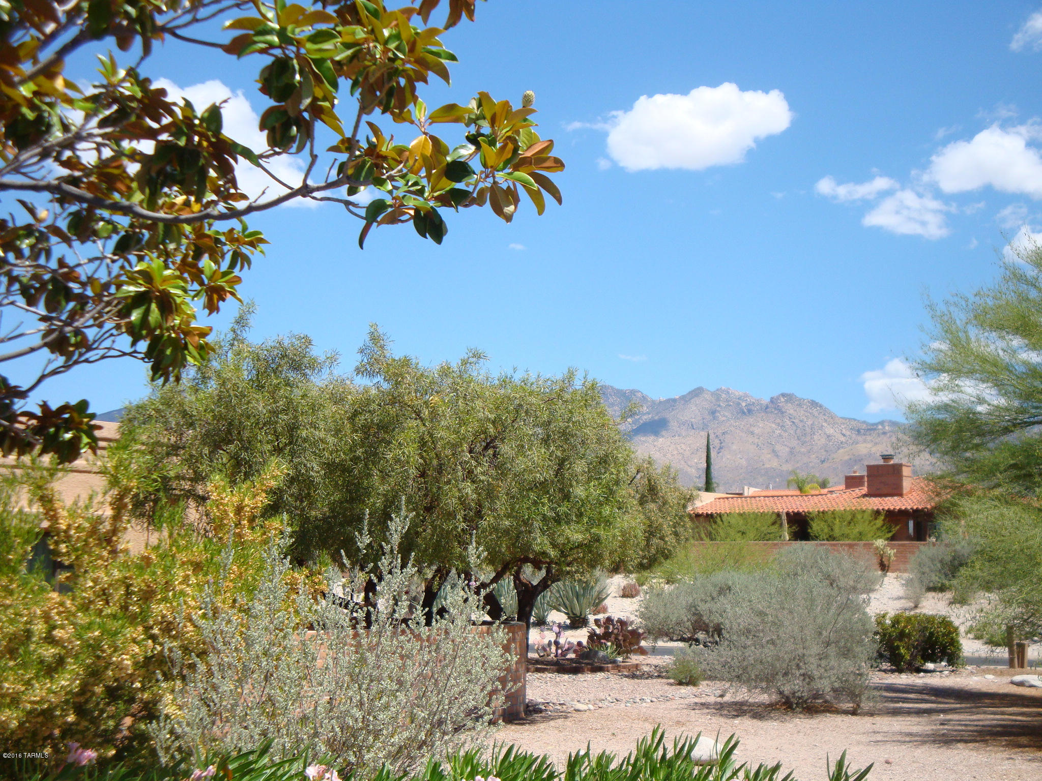 4441 N Camino Ferreo